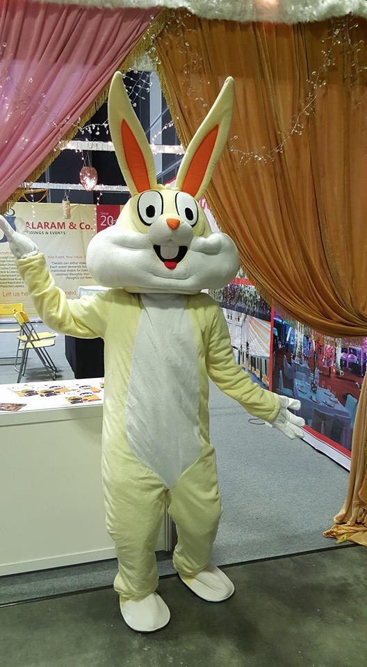 Rabbit Mascot | Magical Wonderlande